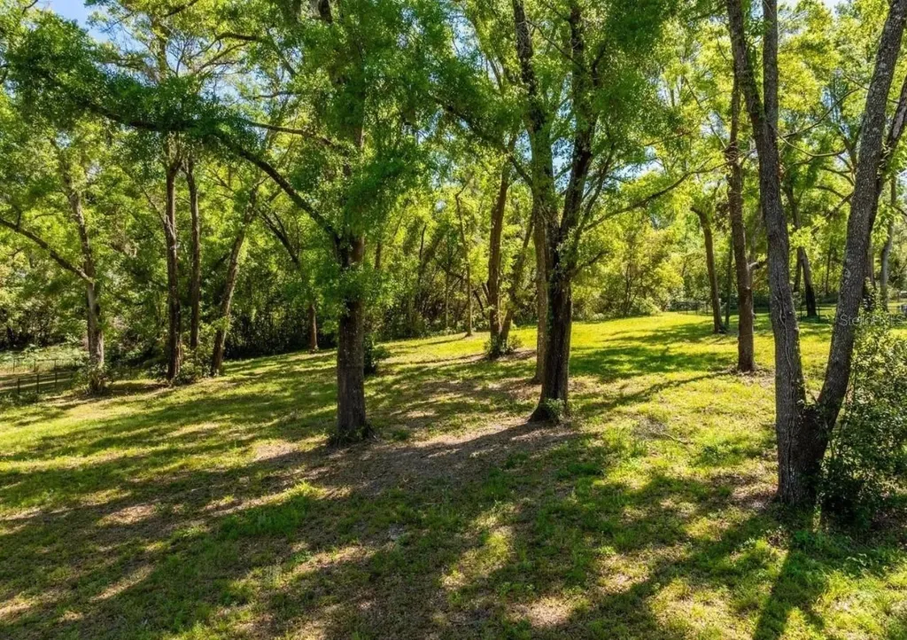 7041 Norne Lane Mount Dora FL 32757