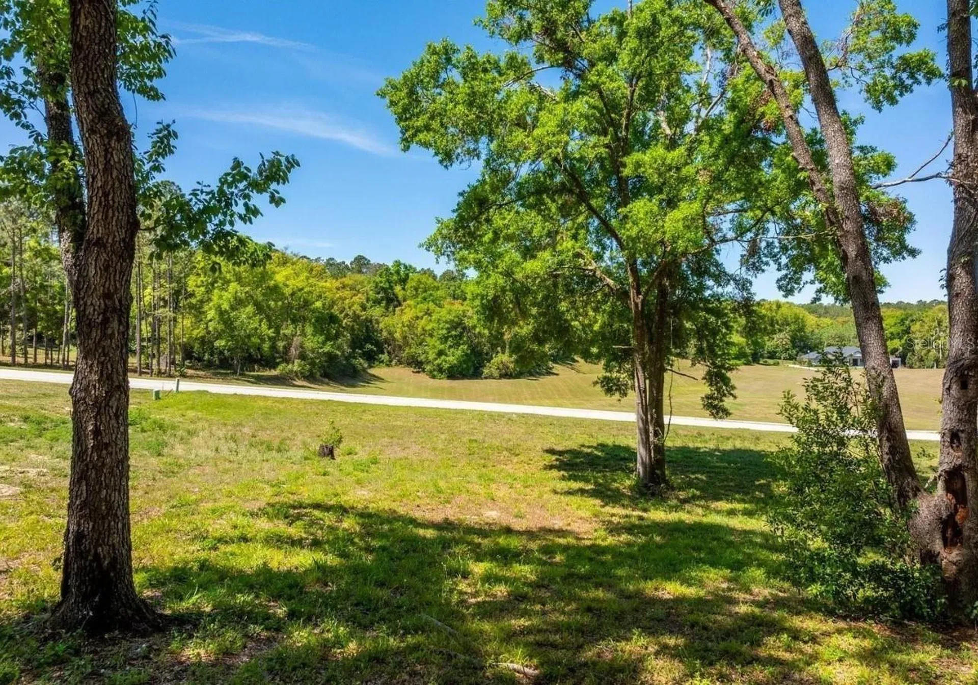 7041 Norne Lane Mount Dora FL 32757
