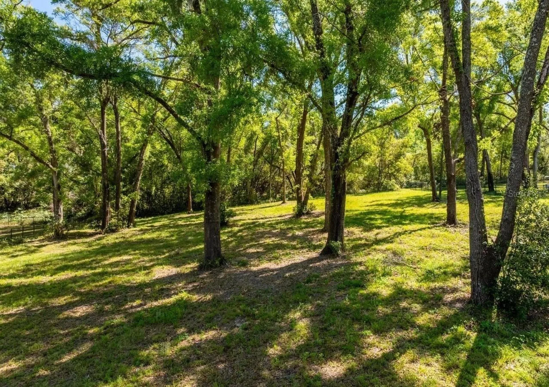 7041 Norne Lane Mount Dora FL 32757