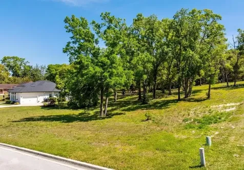 7041 Norne Lane Mount Dora FL 32757