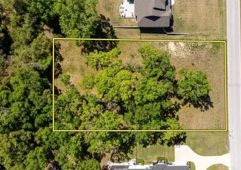 7041 Norne Lane Mount Dora FL 32757