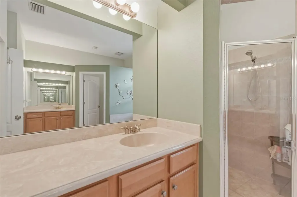 10648 Gooseberry Court Trinity FL 34655