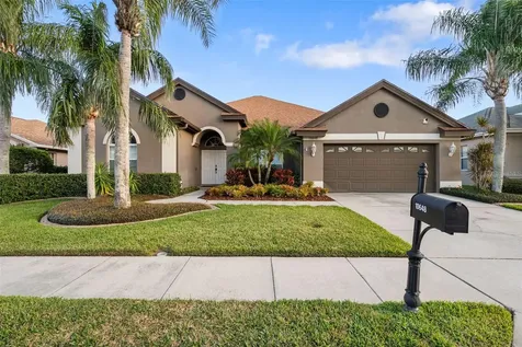 10648 Gooseberry Court Trinity FL 34655