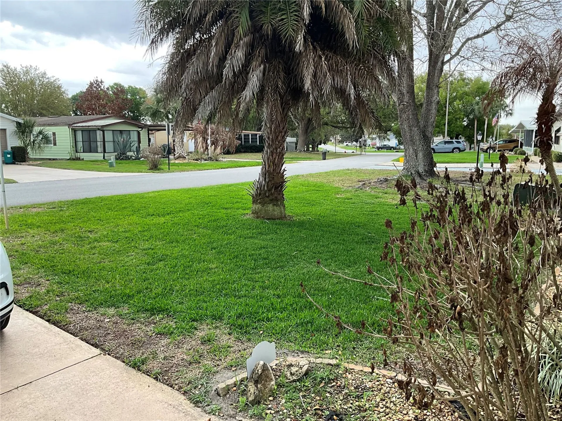 25045 Pine Hill Leesburg FL 34748