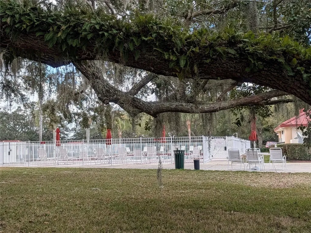 6555 Wilander Street Leesburg FL 34748