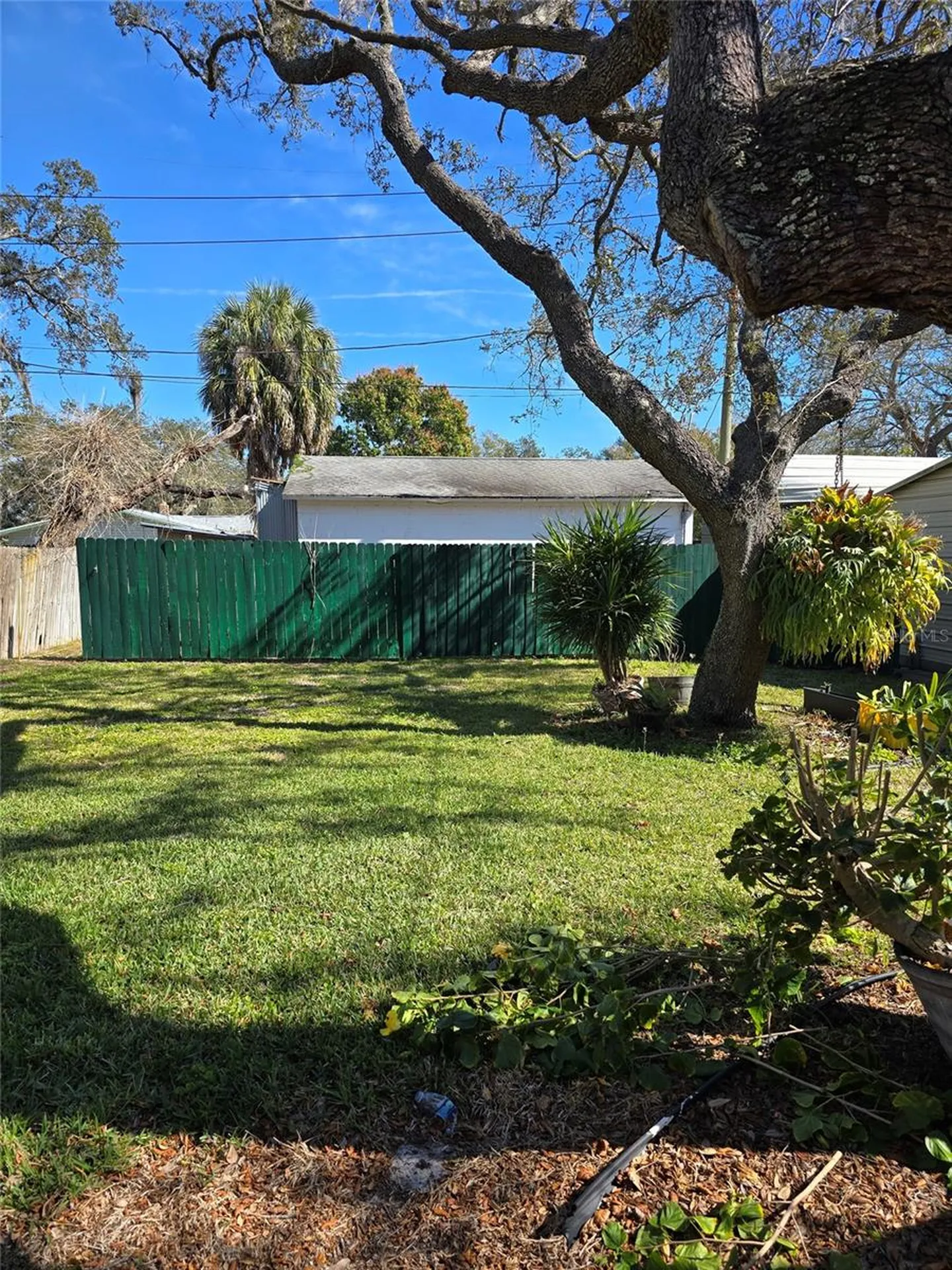 533 S Glenwood Avenue Clearwater FL 33756