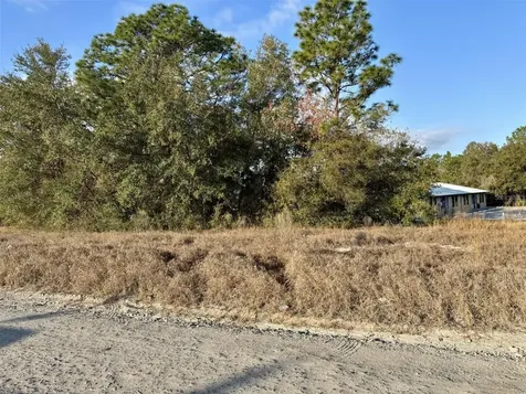 Tbd SE 102nd Terrace Belleview FL 34420