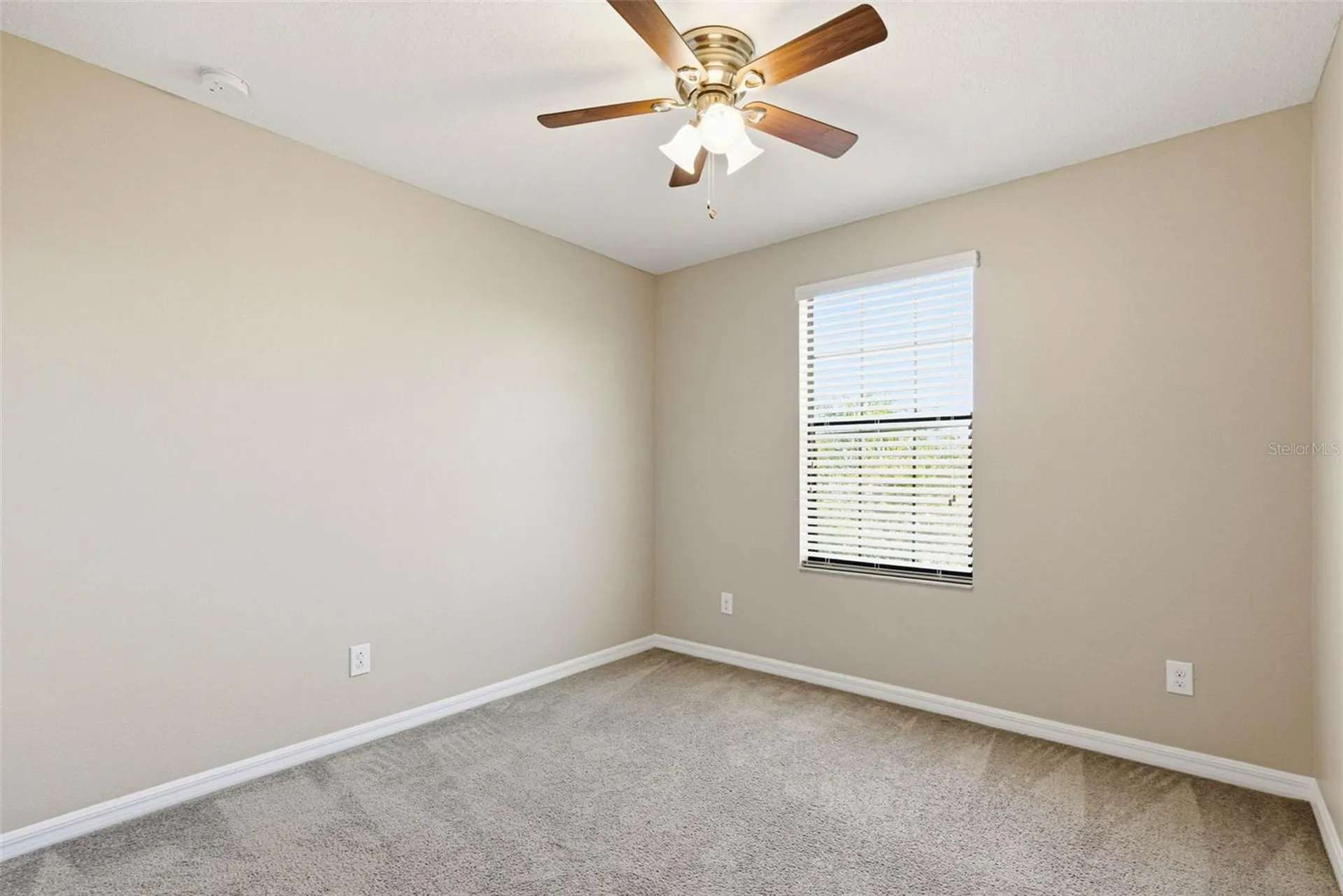 14228 Covert Green Place Riverview FL 33579
