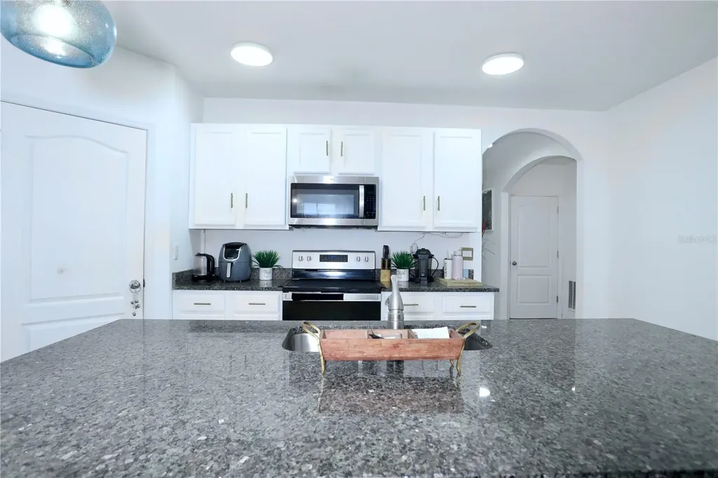 3332 Logan Berry Drive Mount Dora FL 32757
