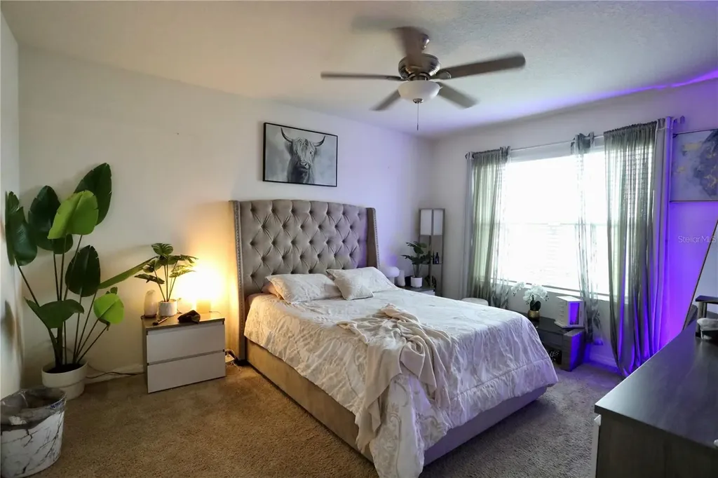 3332 Logan Berry Drive Mount Dora FL 32757
