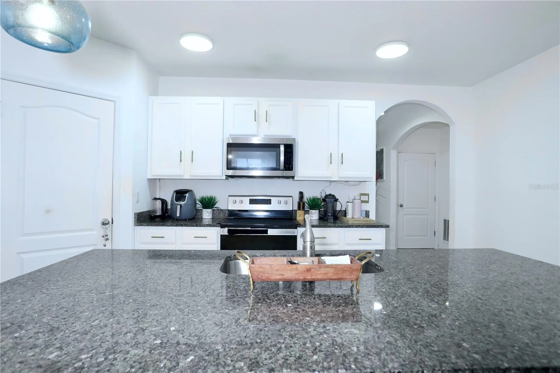 3332 Logan Berry Drive Mount Dora FL 32757