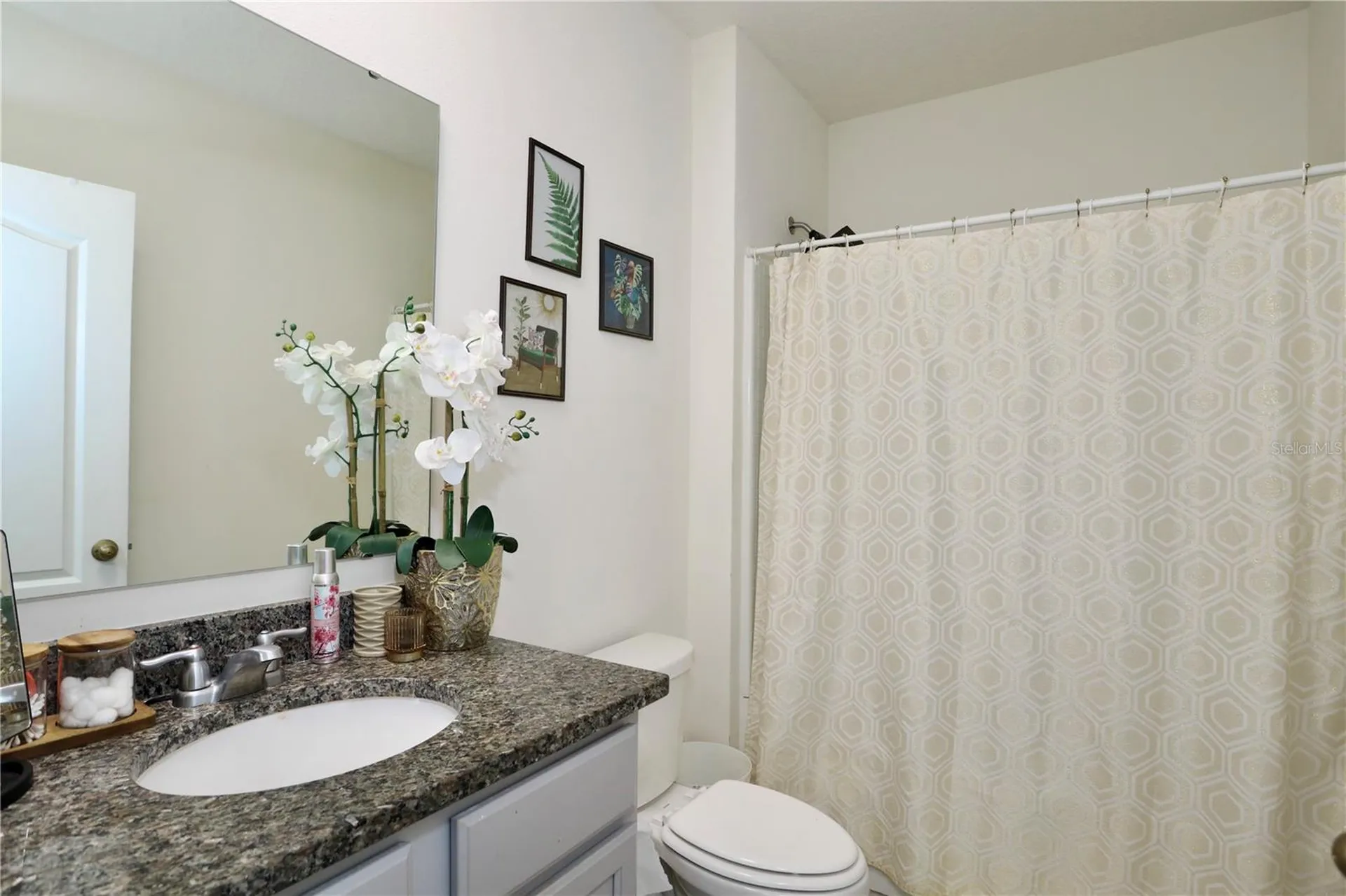 3332 Logan Berry Drive Mount Dora FL 32757