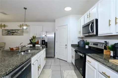 3332 Logan Berry Drive Mount Dora FL 32757