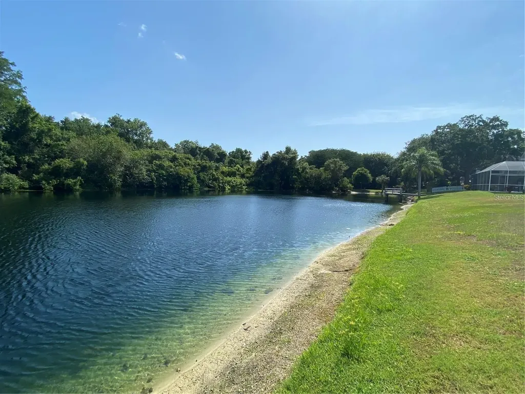 3048 Jodi Lane Palm Harbor FL 34684