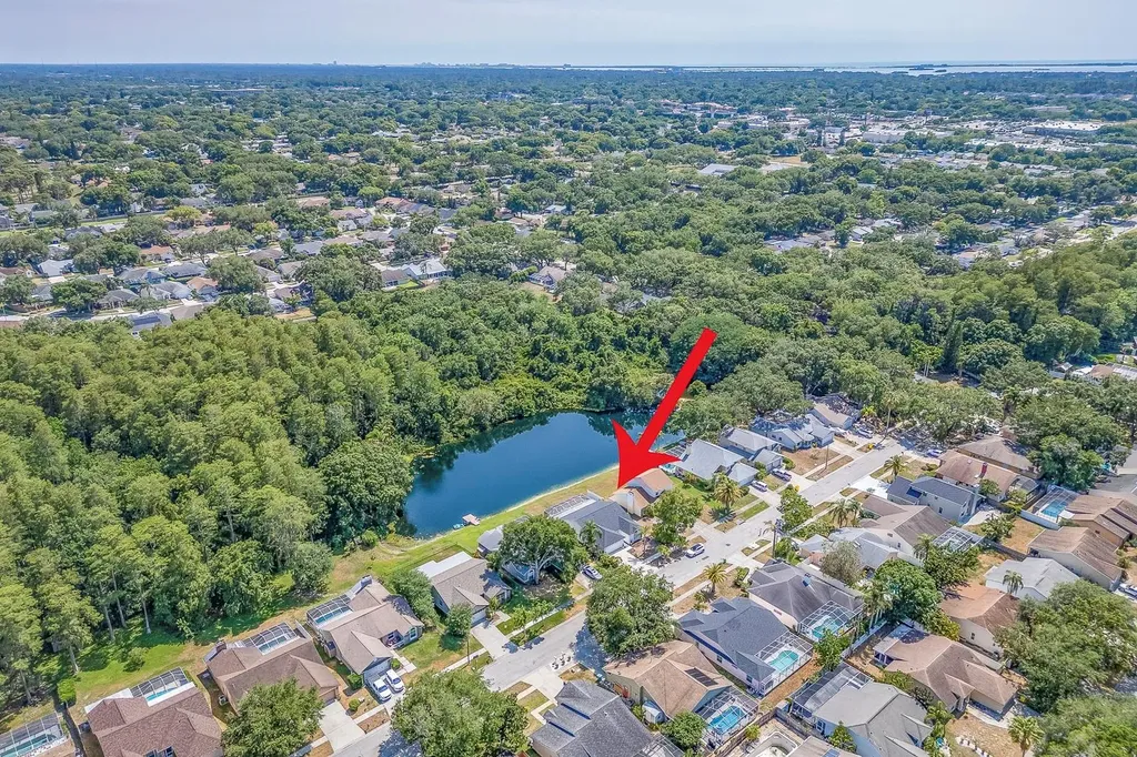 3048 Jodi Lane Palm Harbor FL 34684