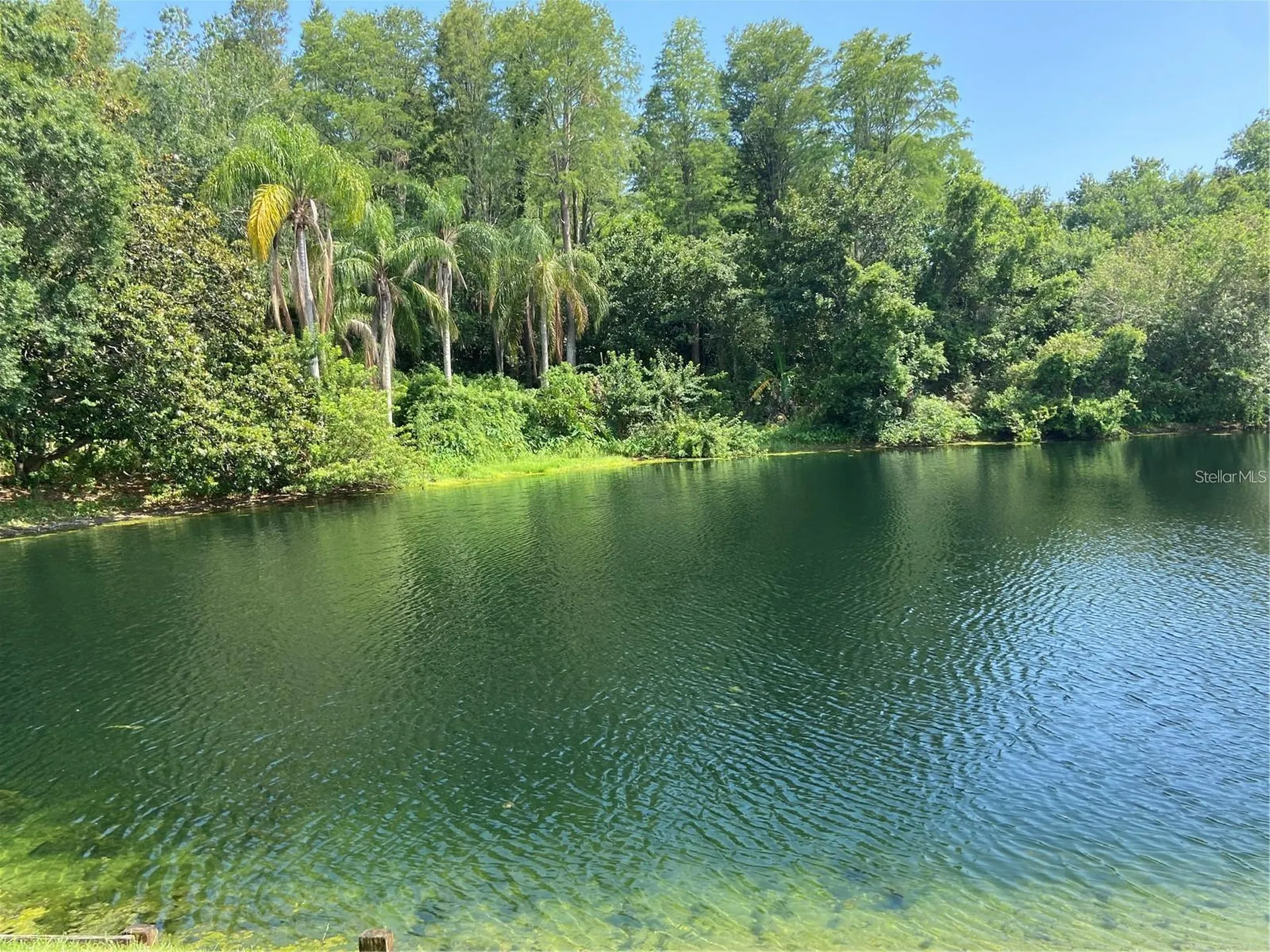 3048 Jodi Lane Palm Harbor FL 34684