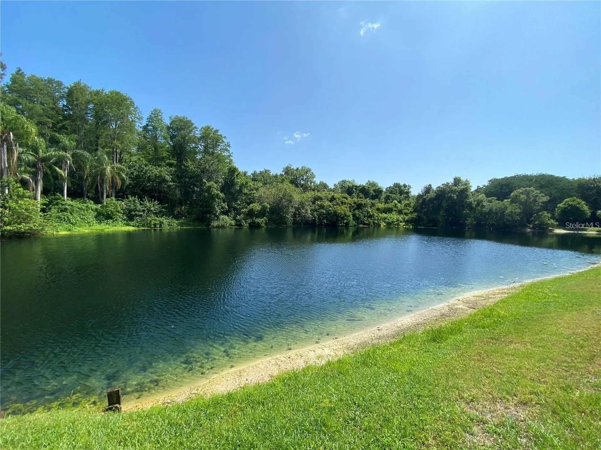 3048 Jodi Lane Palm Harbor FL 34684