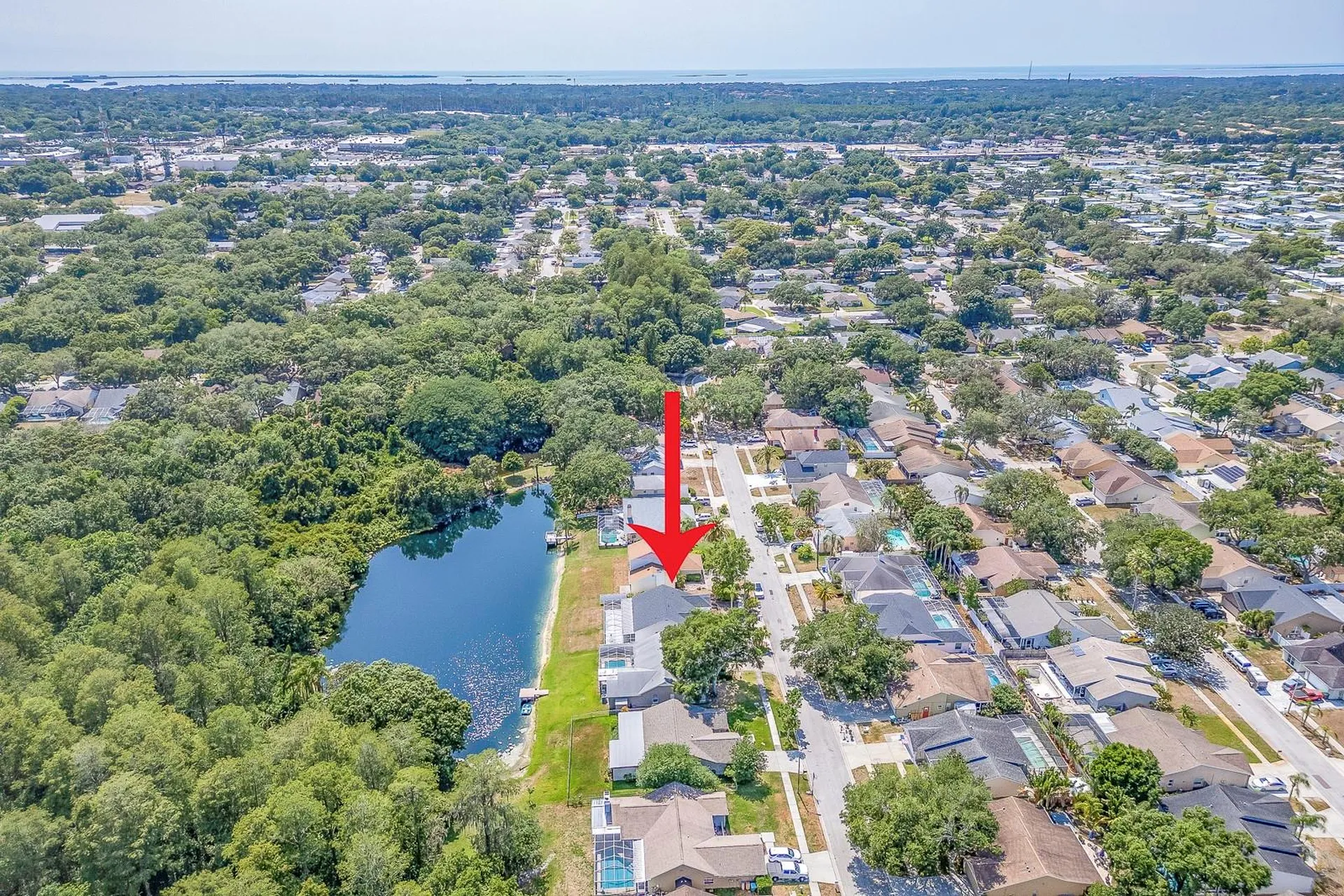 3048 Jodi Lane Palm Harbor FL 34684