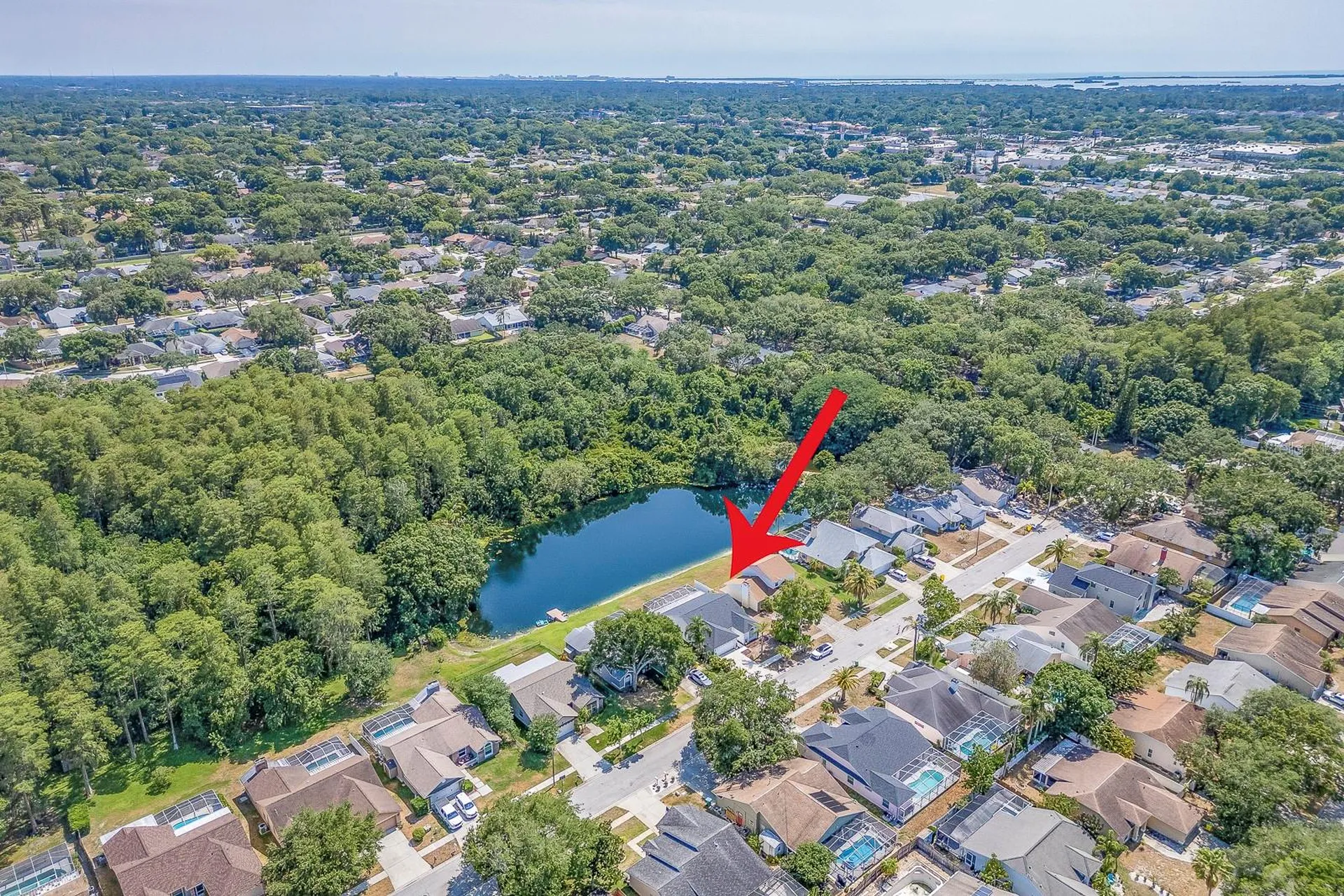 3048 Jodi Lane Palm Harbor FL 34684