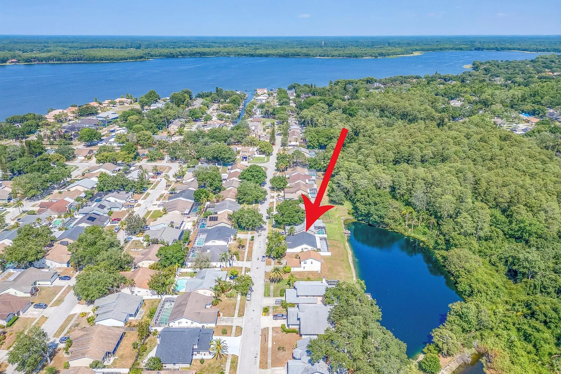 3048 Jodi Lane Palm Harbor FL 34684