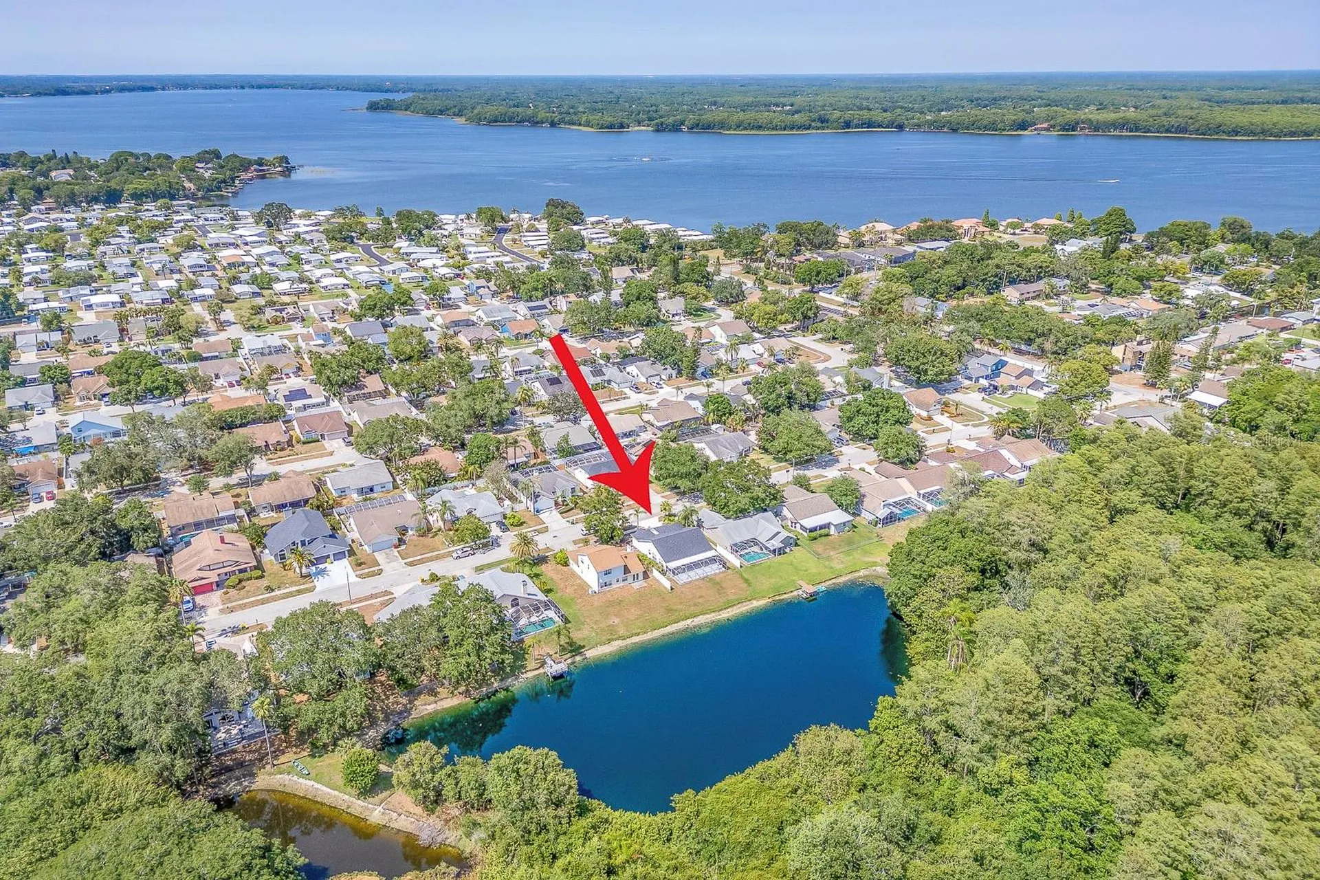 3048 Jodi Lane Palm Harbor FL 34684