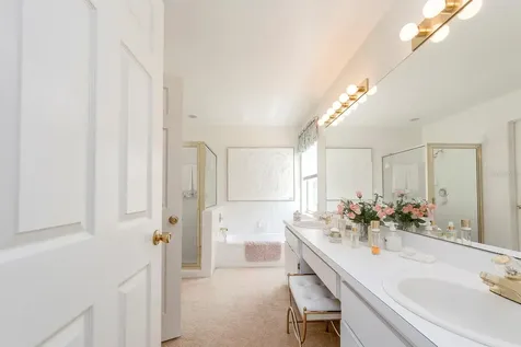 3048 Jodi Lane Palm Harbor FL 34684