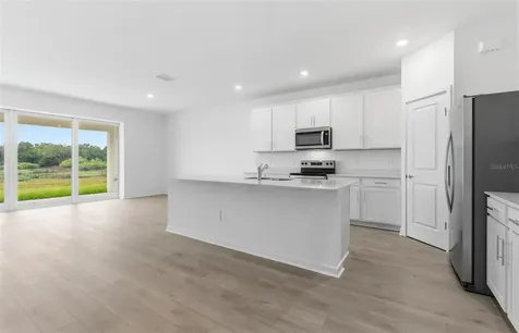 11222 Sycamore Glen Loop Thonotosassa FL 33592