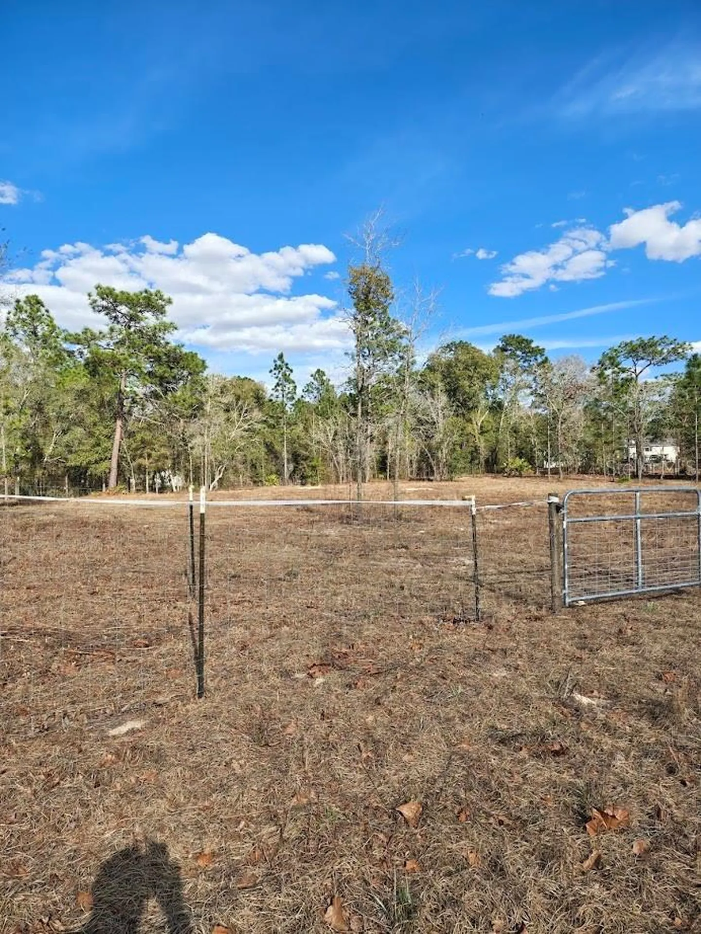 13105 SW 91st Place Dunnellon FL 34432