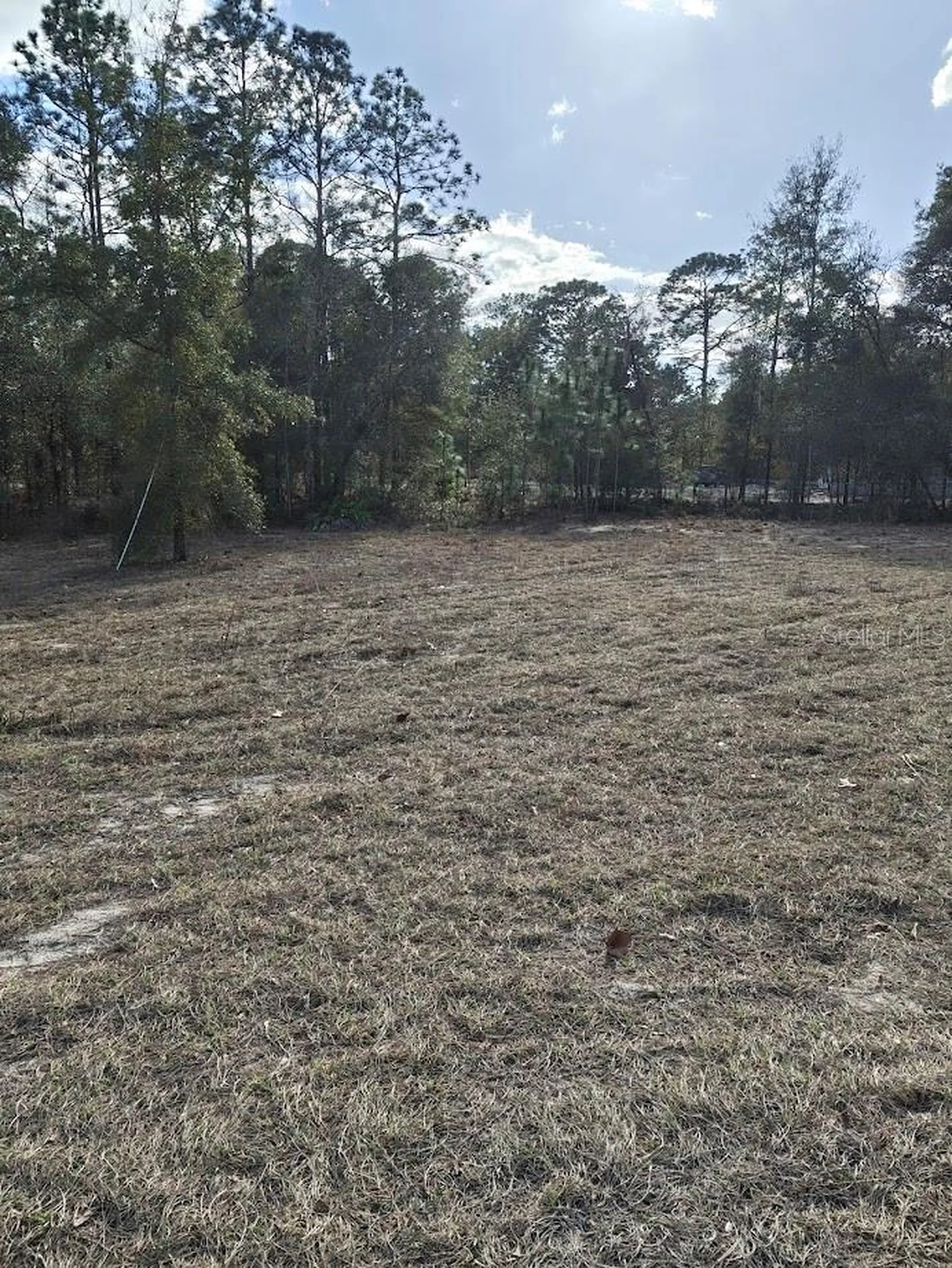 13105 SW 91st Place Dunnellon FL 34432