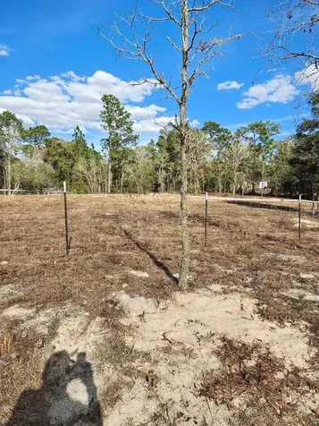 13105 SW 91st Place Dunnellon FL 34432