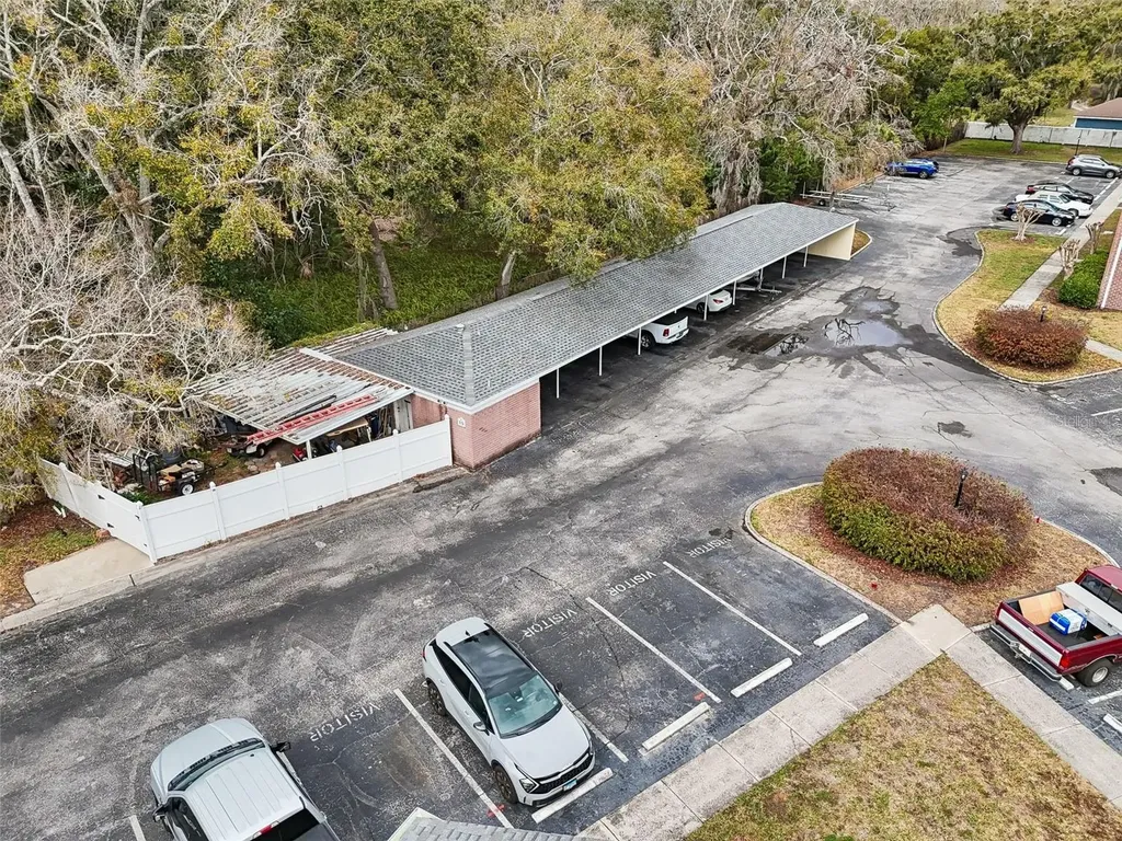 13747 Juniper Blossom Drive Tampa FL 33618