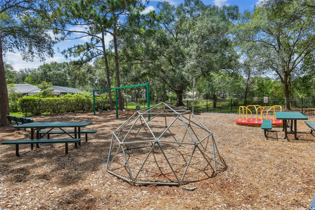 13747 Juniper Blossom Drive Tampa FL 33618