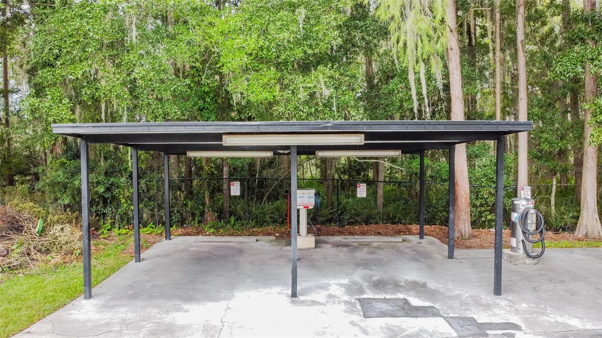 13747 Juniper Blossom Drive Tampa FL 33618