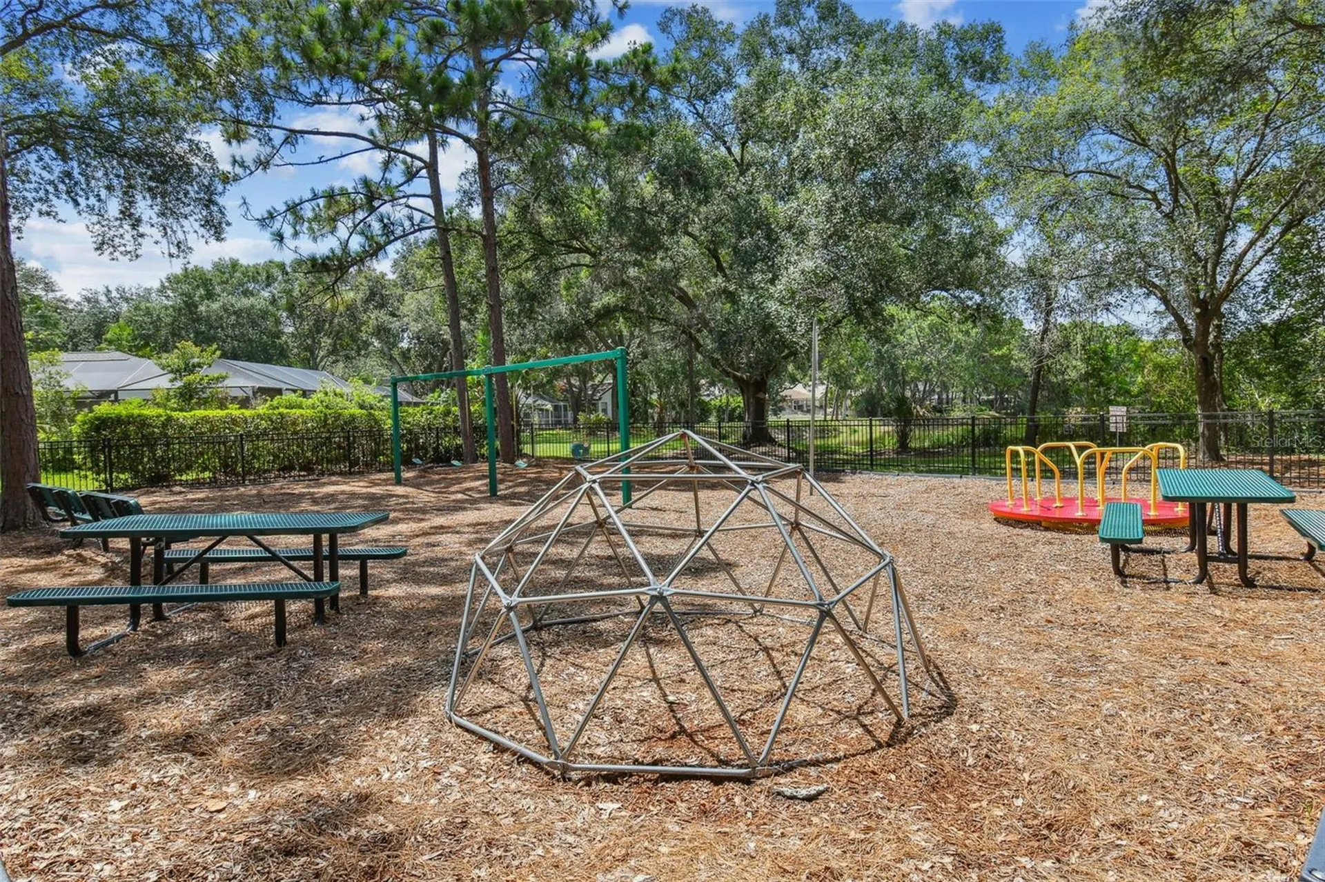 13747 Juniper Blossom Drive Tampa FL 33618