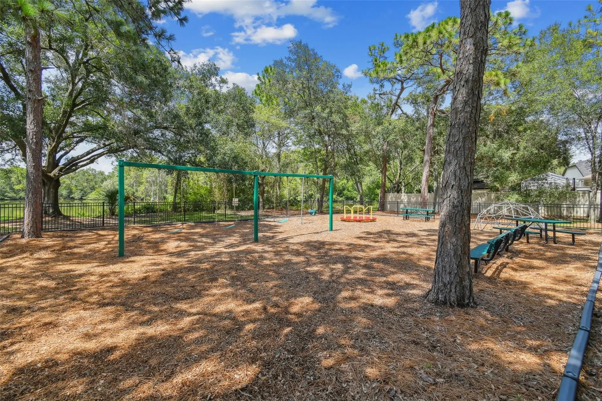 13747 Juniper Blossom Drive Tampa FL 33618