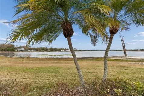 13747 Juniper Blossom Drive Tampa FL 33618