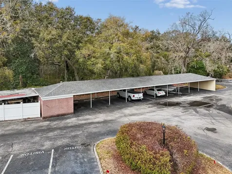13747 Juniper Blossom Drive Tampa FL 33618