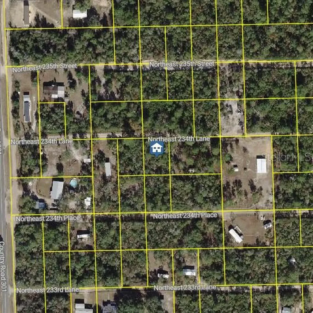 15350 NE 234th Lane Fort Mc Coy FL 32134