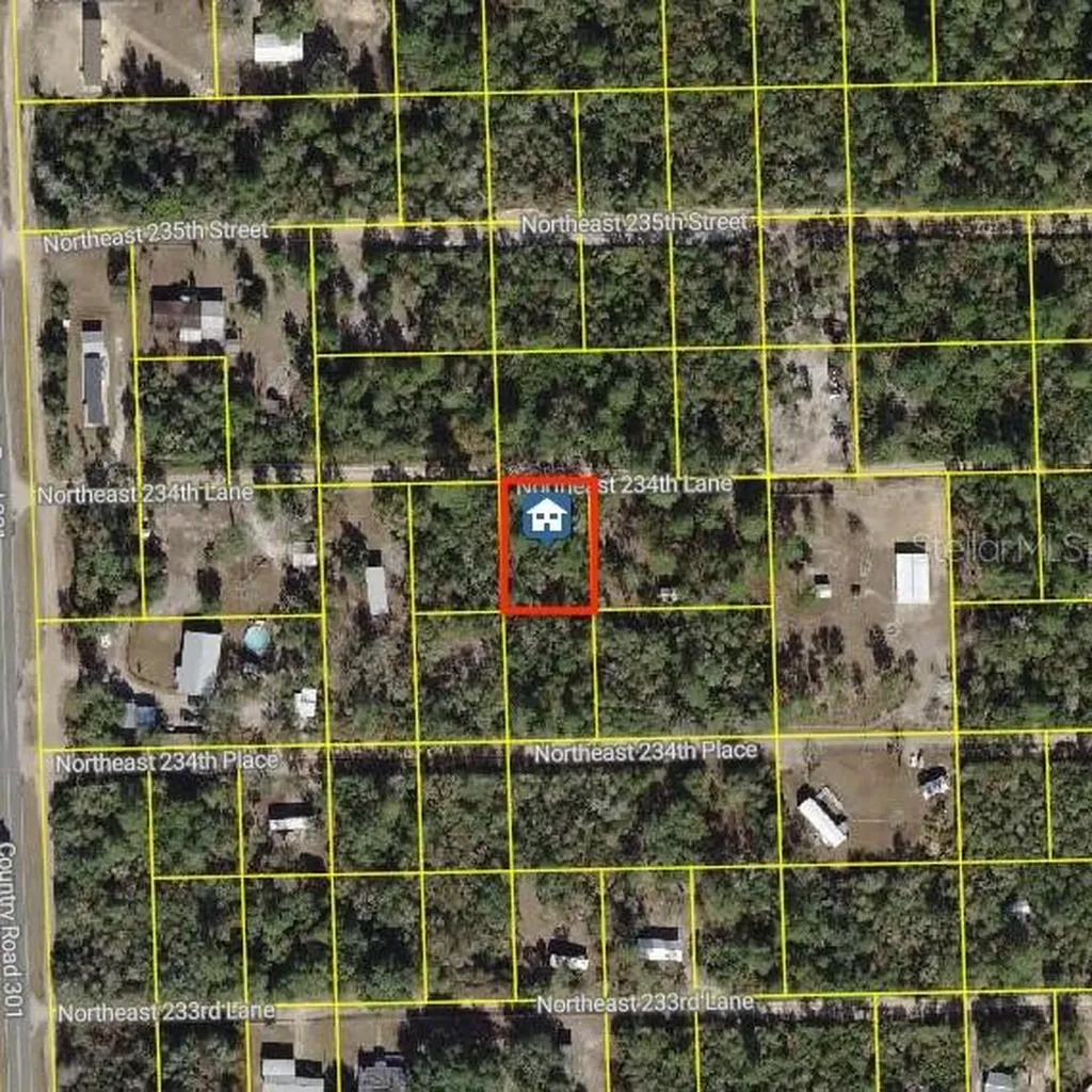 15350 NE 234th Lane Fort Mc Coy FL 32134