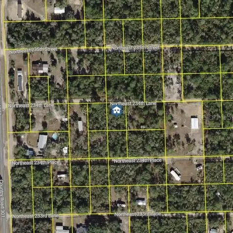 15350 NE 234th Lane Fort Mc Coy FL 32134