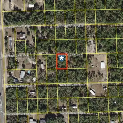 15350 NE 234th Lane Fort Mc Coy FL 32134