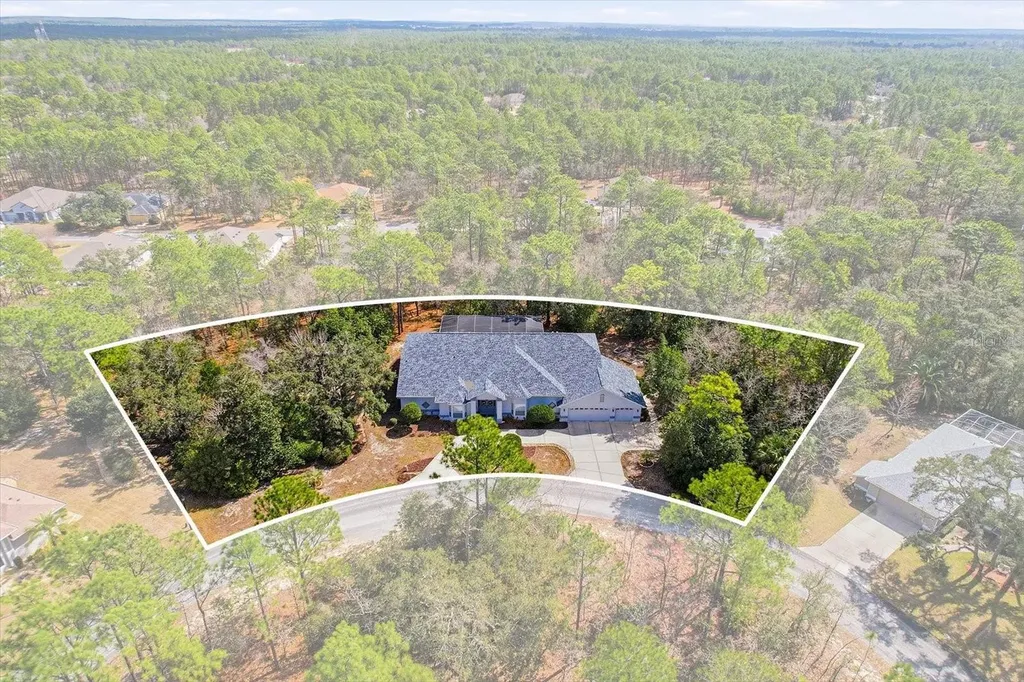 16 Drypetes Court E Homosassa FL 34446