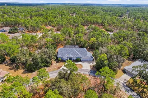 16 Drypetes Court E Homosassa FL 34446