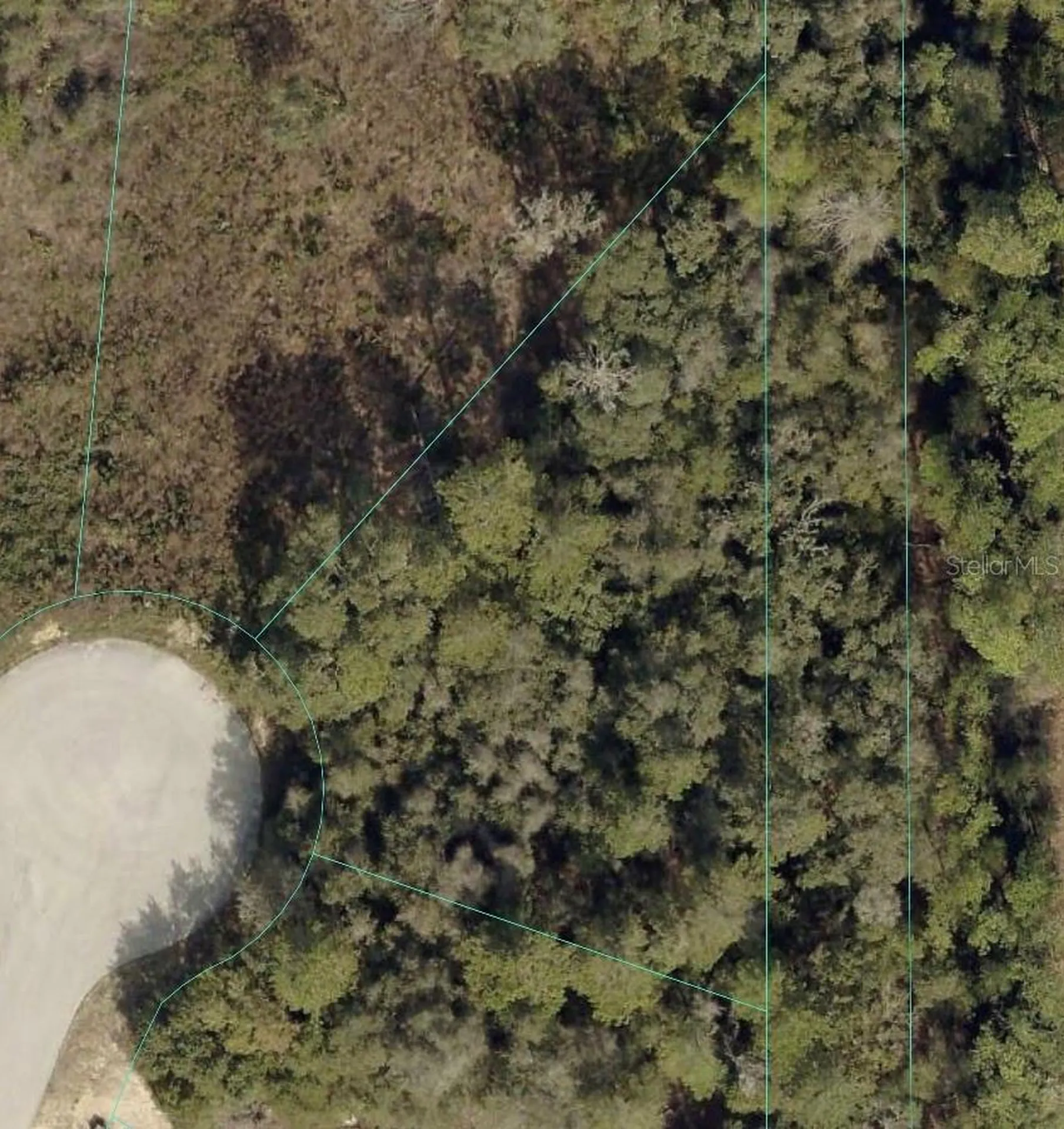 SW 98th Place Ocala FL 34476