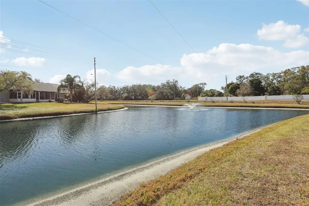 28 Brigton Court Safety Harbor FL 34695