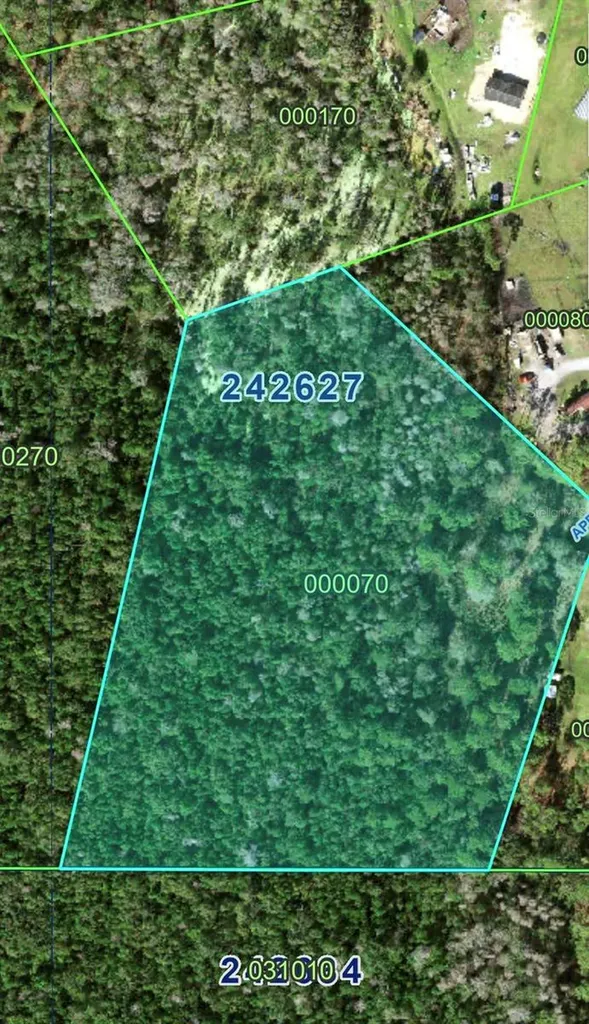 2904 Appalachian Trail Polk City FL 33868
