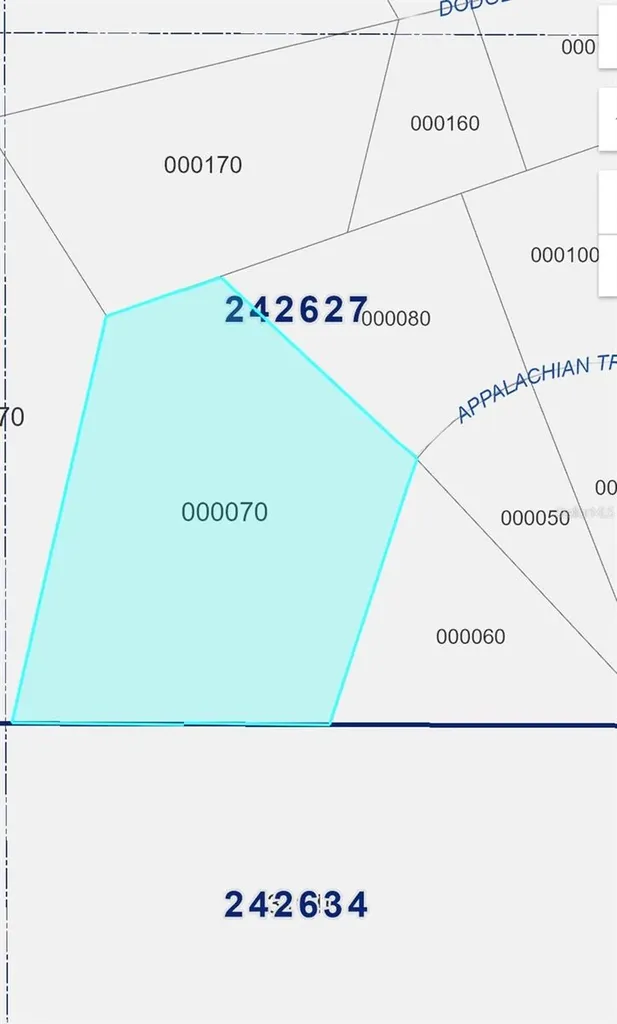 2904 Appalachian Trail Polk City FL 33868