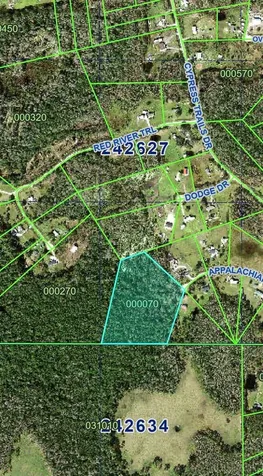 2904 Appalachian Trail Polk City FL 33868