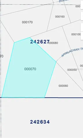 2904 Appalachian Trail Polk City FL 33868