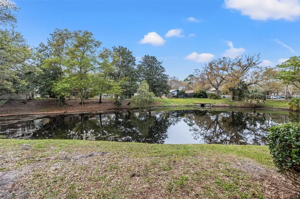 3038 Eastland Boulevard Clearwater FL 33761
